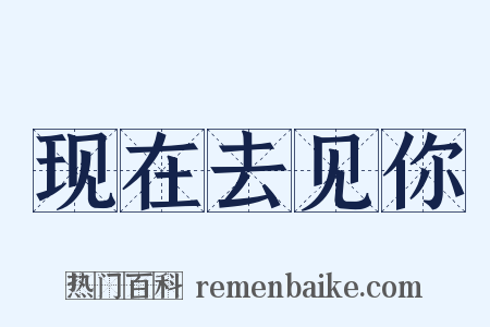 现在去见你是什么意思的图片